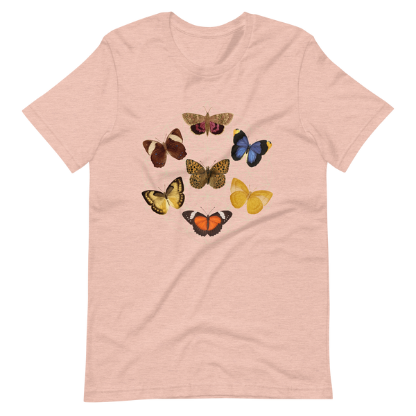 Butterfly Formation